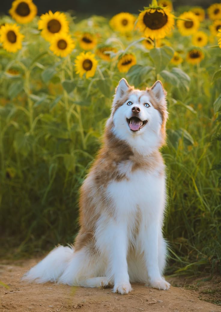 Photo by Reba Spike on Unsplash